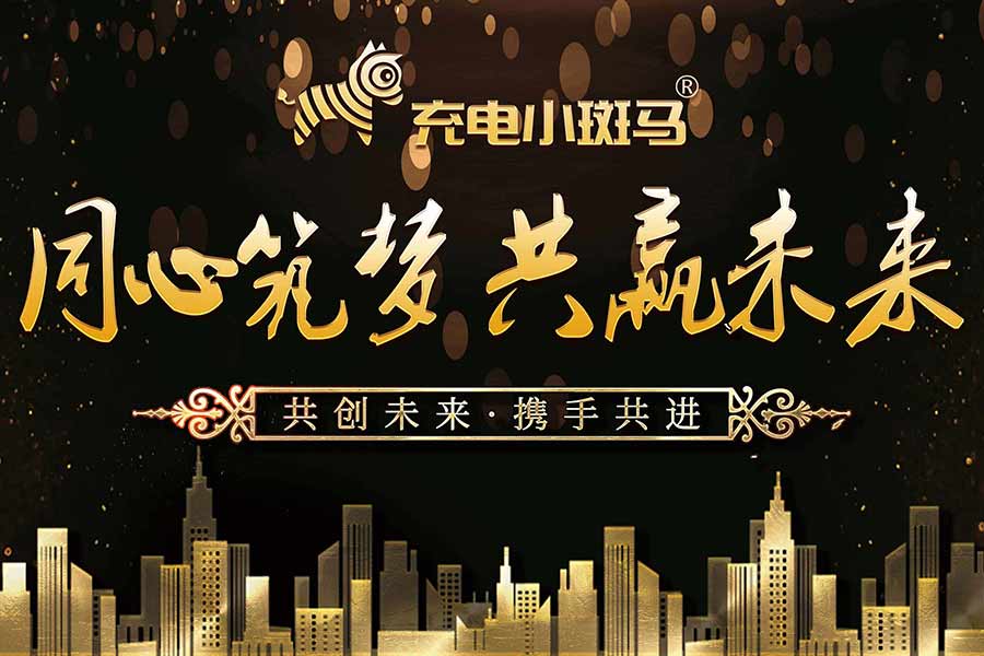 充电小斑马投资创业指导